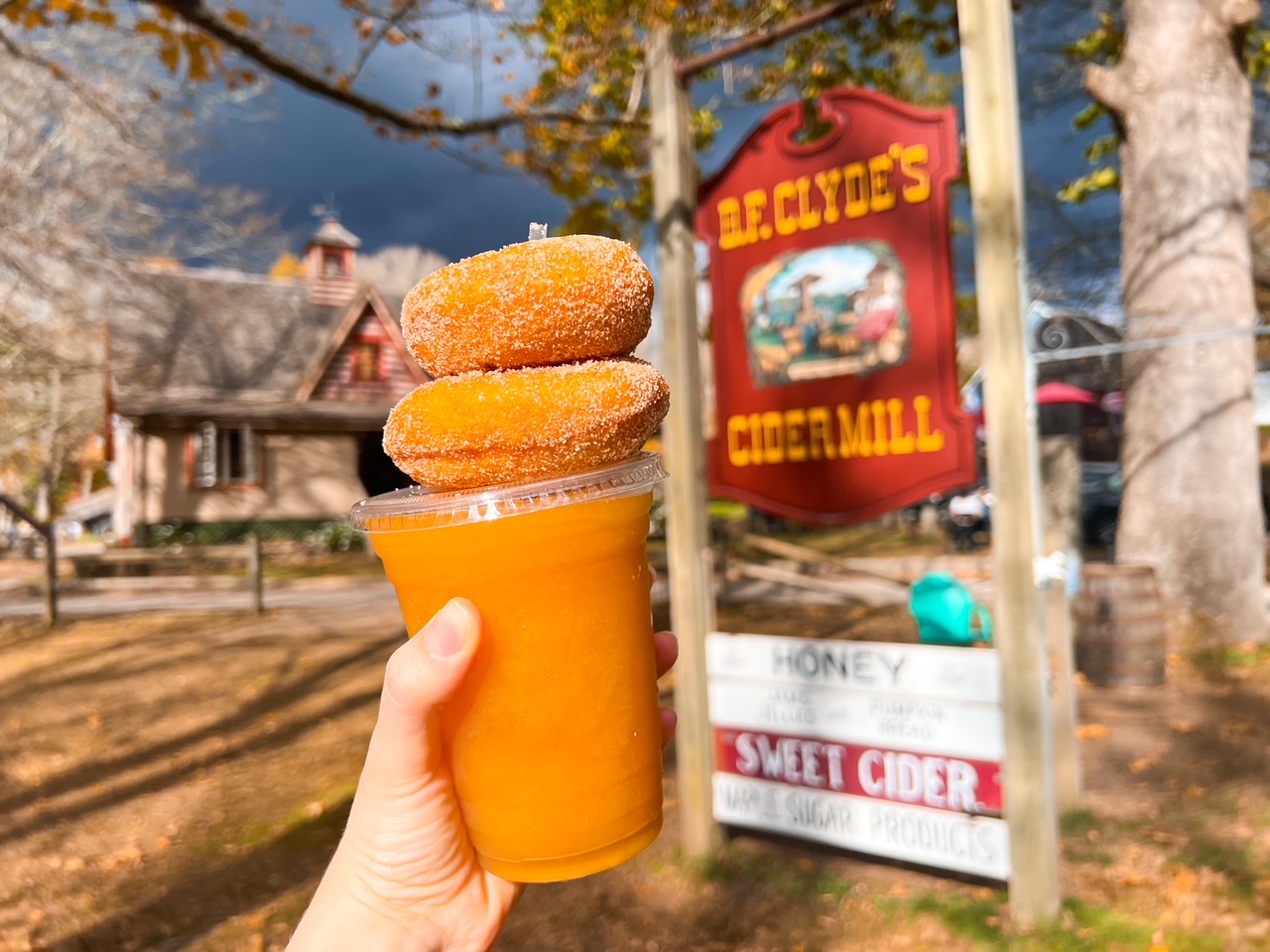 holding a cup of iced apple cider and cider donuts 