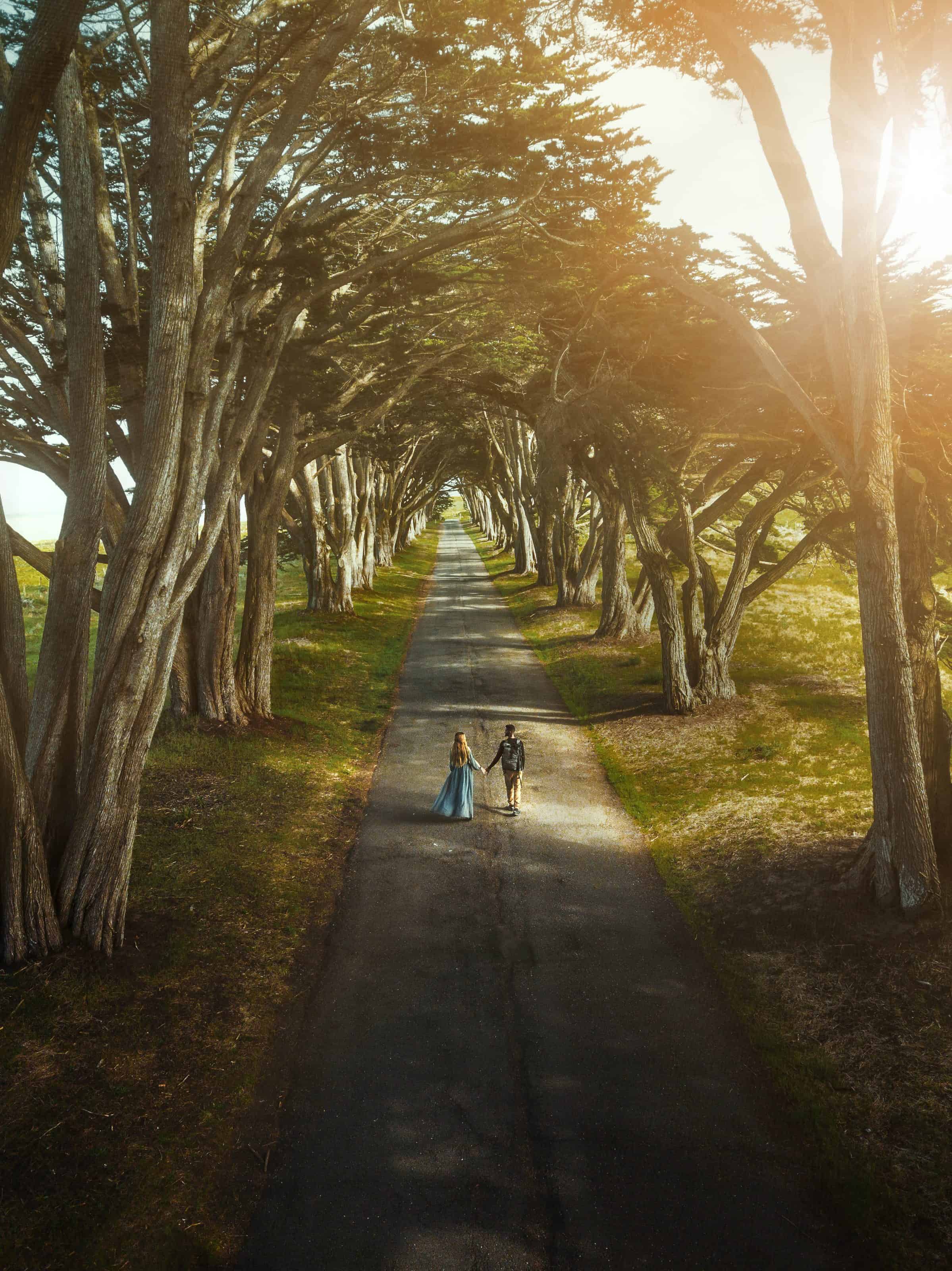 Couple holding hand and walking down the Cyprus Tree Tunnel in Point Reyes National Seashore.