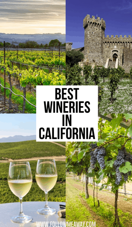 Hands Down, These Are The 10 Best San Francisco Wine Tours - Follow Me Away