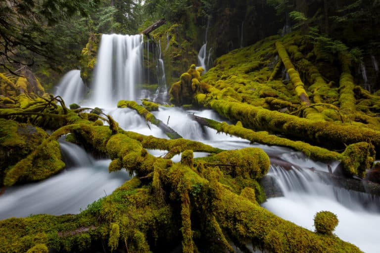 10 Bucket List Waterfalls In Oregon You Won't Want To Miss! - Follow Me ...