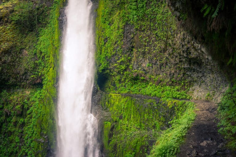 10 Bucket List Waterfalls In Oregon You Won't Want To Miss! - Follow Me ...