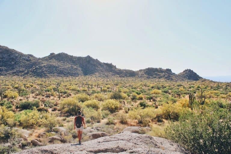 best day hikes in phoenix area