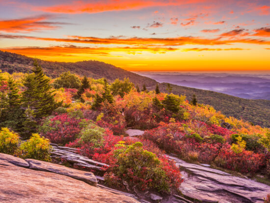 grandfather mountain is one of the best places for fall foliage in NC