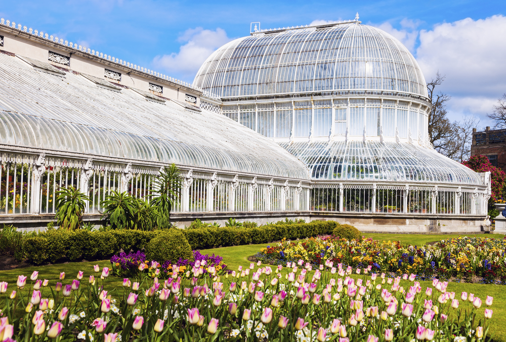 Photo of the ornate palm house green house at the Belfast botanic gardens. There are tulips in front of it.