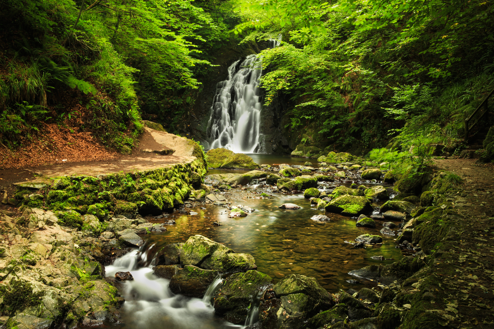 photo of the Glenoe Waterfall in Northern Ireland. The waterfall is surrounded by trees.