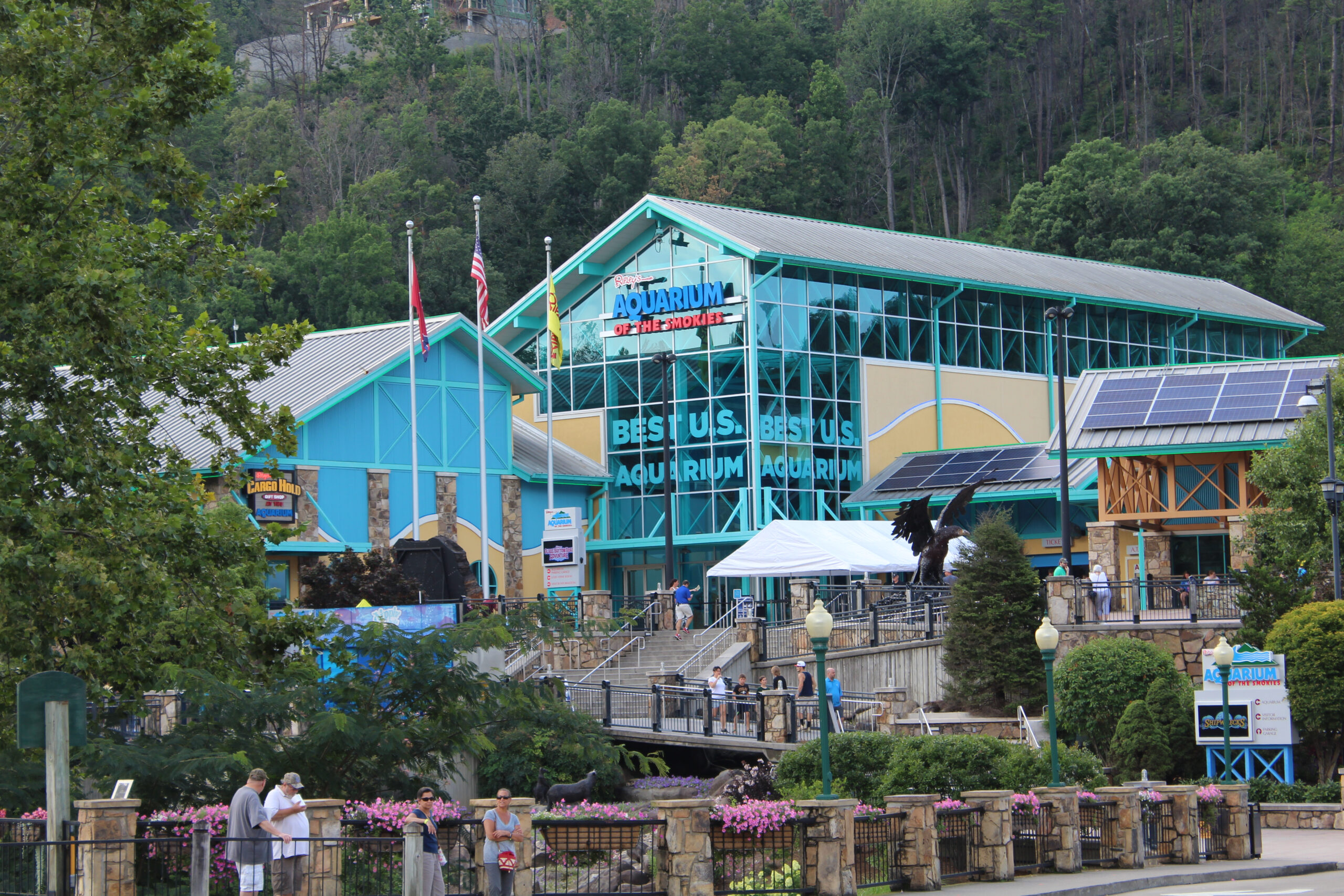 Les prix des billets pour l'aquarium de Gatlinburg - Things To Do In Gatlinburg Aquarium ScaleD