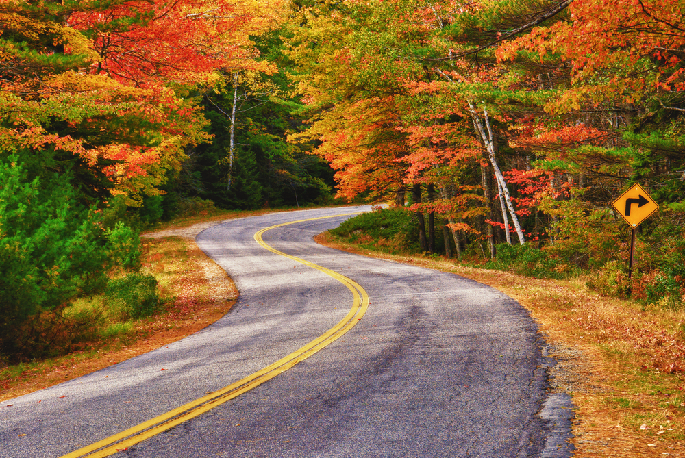 road in fall during a maine road trip