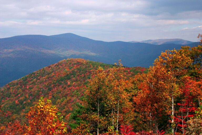 10 Best Places To See Fall Foliage In Georgia - Follow Me Away