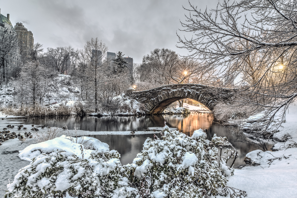 12 Best Things to Do in New York in Winter Follow Me Away