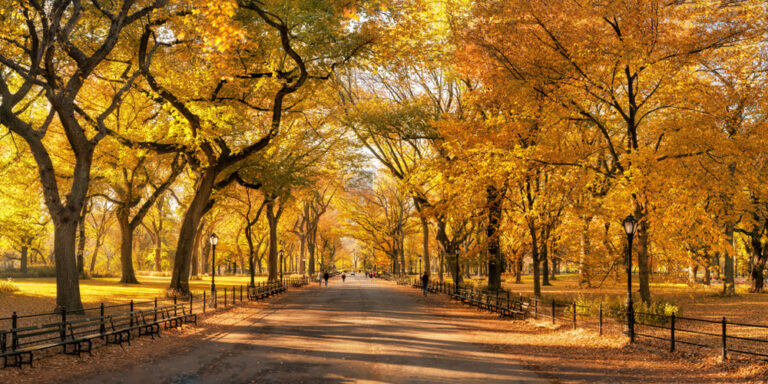 16 Best Places to see Fall Foliage in New York State - Follow Me Away