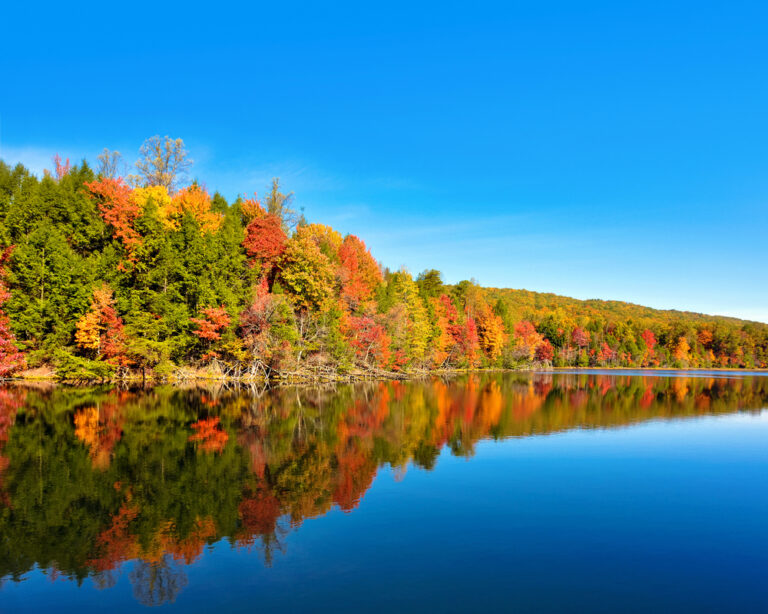 12 Best Places to See Fall Foliage in Tennessee Follow Me Away