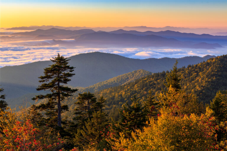 12 Best Places to See Fall Foliage in Tennessee Follow Me Away