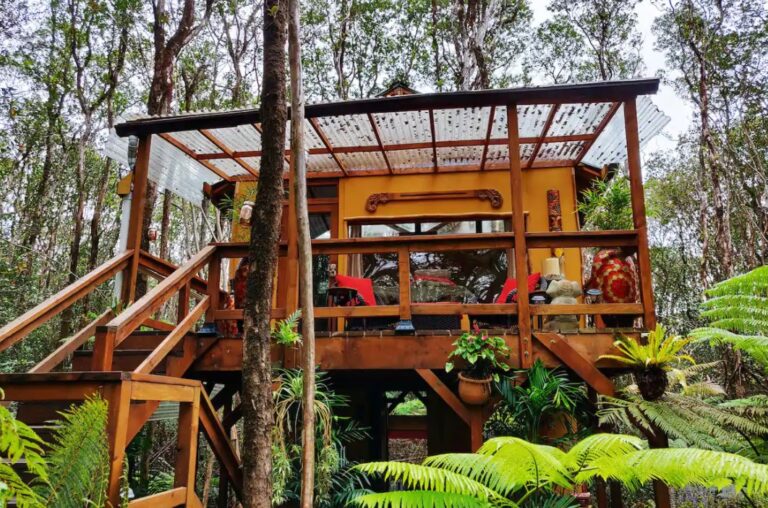 420 treehouse airbnb