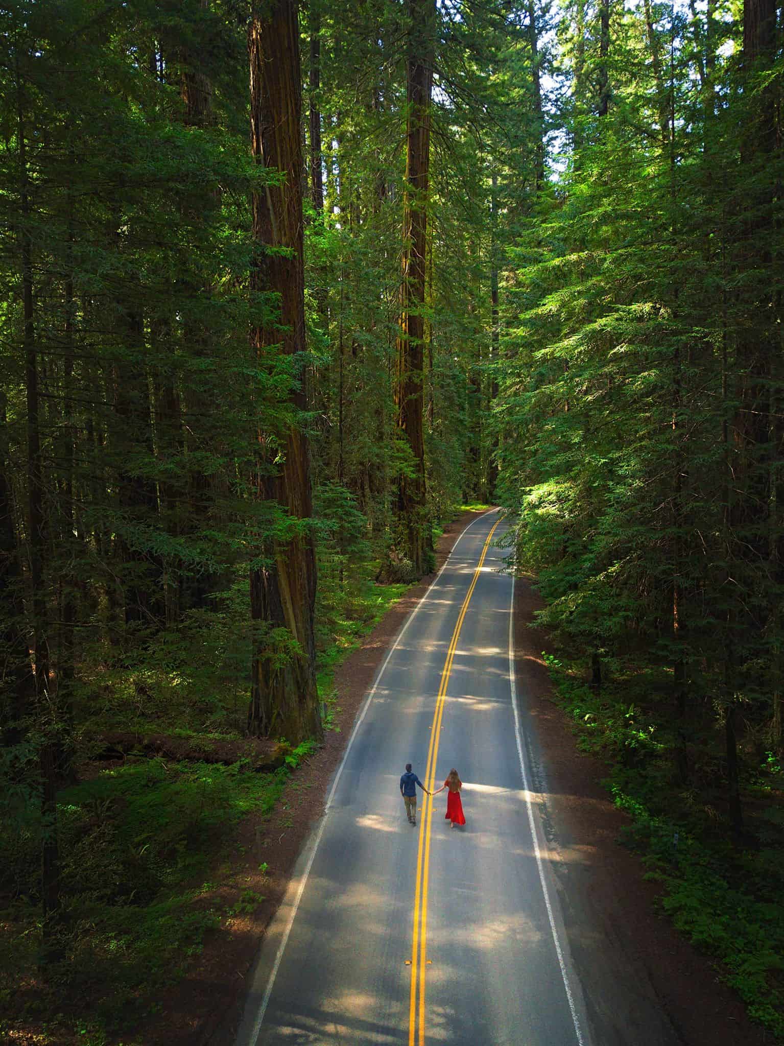 Aerial view of a couple standing in the middle of the road in the Avenue of Giants area of Northern California. The woman is wearing a long red dress and the man is wearing a blue shirt and khaki pants. The road goes out of frame and is surrounded by massive trees on both sides.