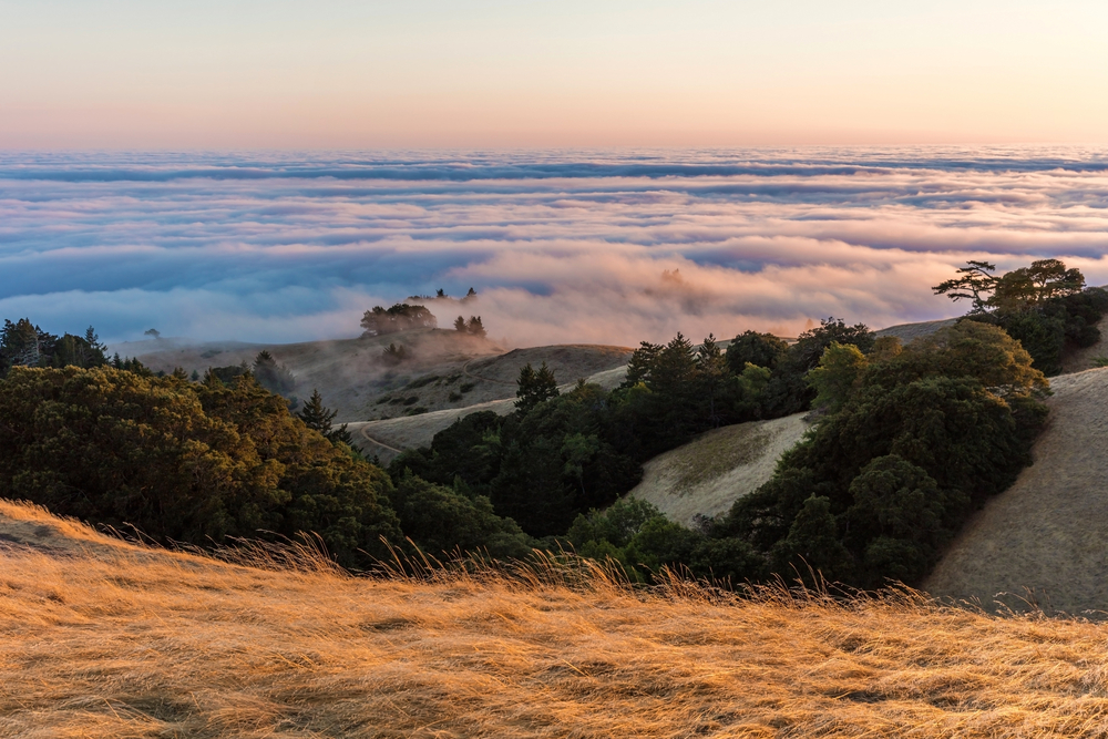 Sunset at Mount Tamalpais with rolling hills below and a sea of clouds.