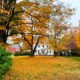 During a Connecticut fall foliage road trip, you can see old, historic white houses with the yellow and orange leaves dawning trees around it.
