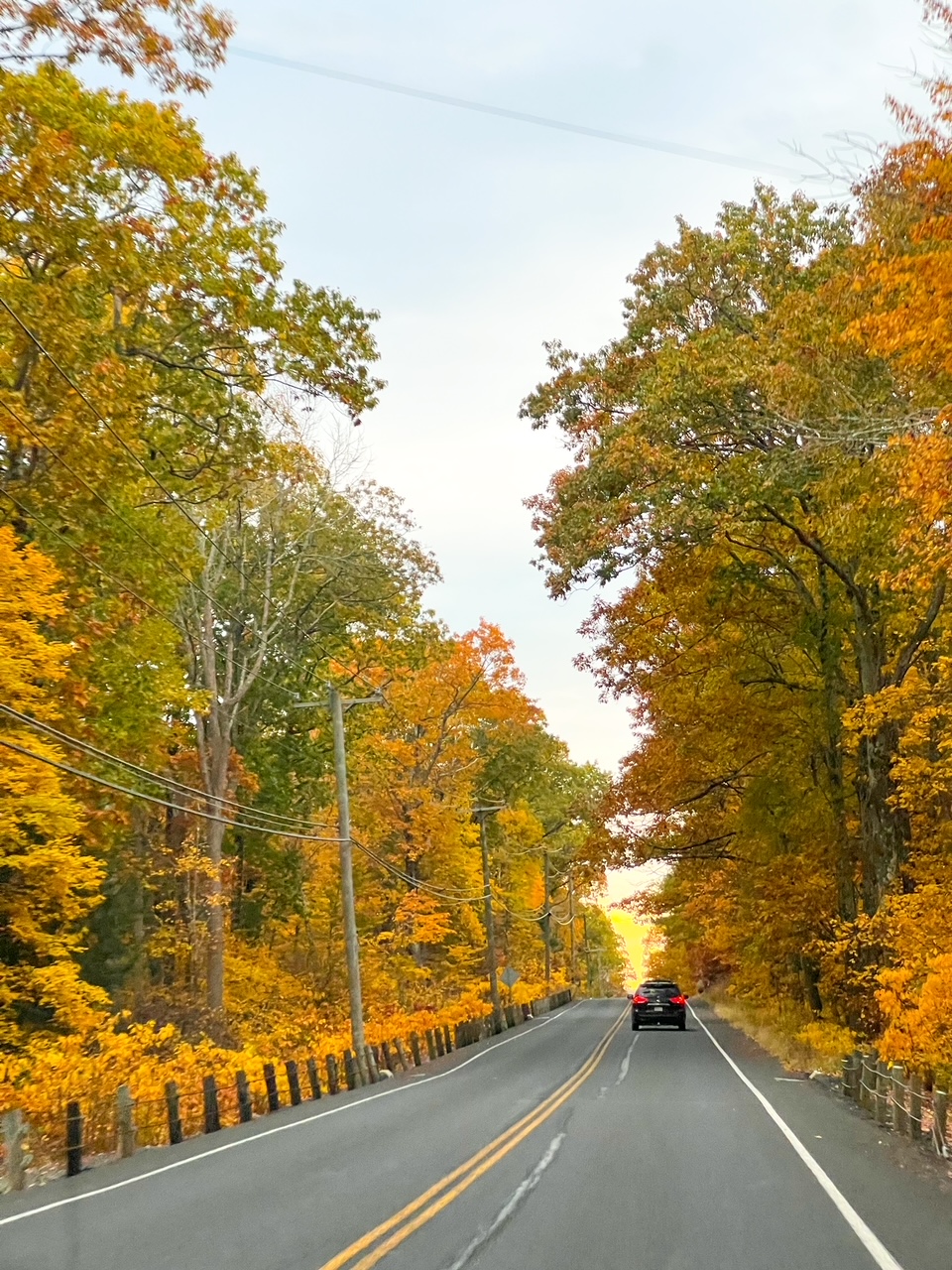 A long road stretches ahead of the viewpoint of a camera, yellow and orange trees surrounding the highway and above a black car as it travels. 