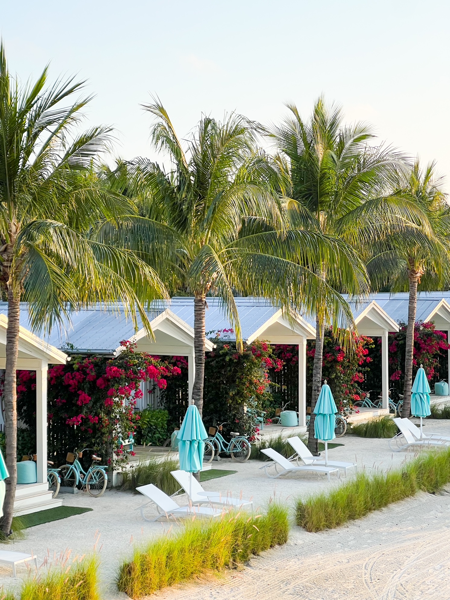 a View of the beachfront bungalows from the sand with palm trees