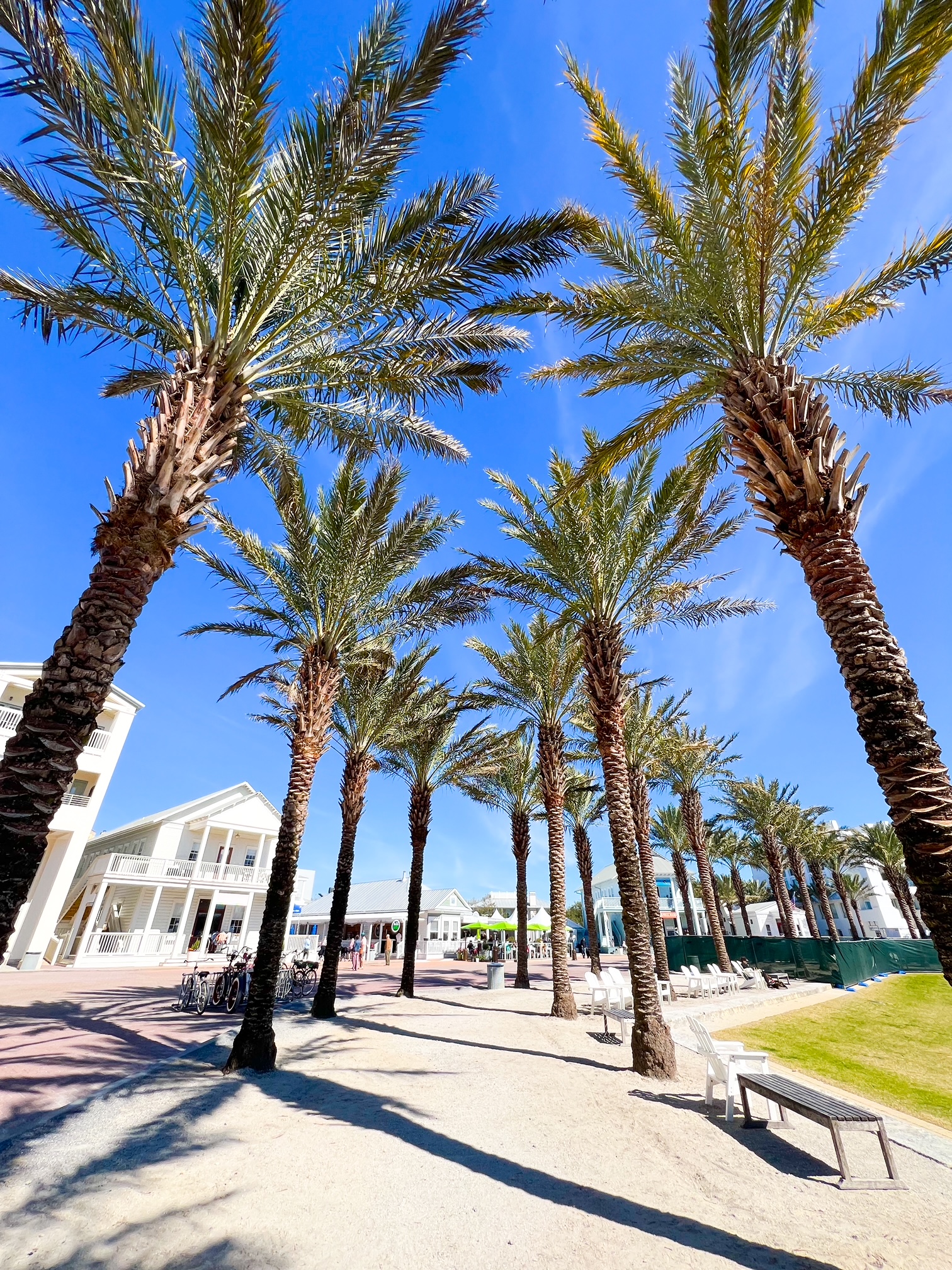 the palm tree lined path leading into seaside