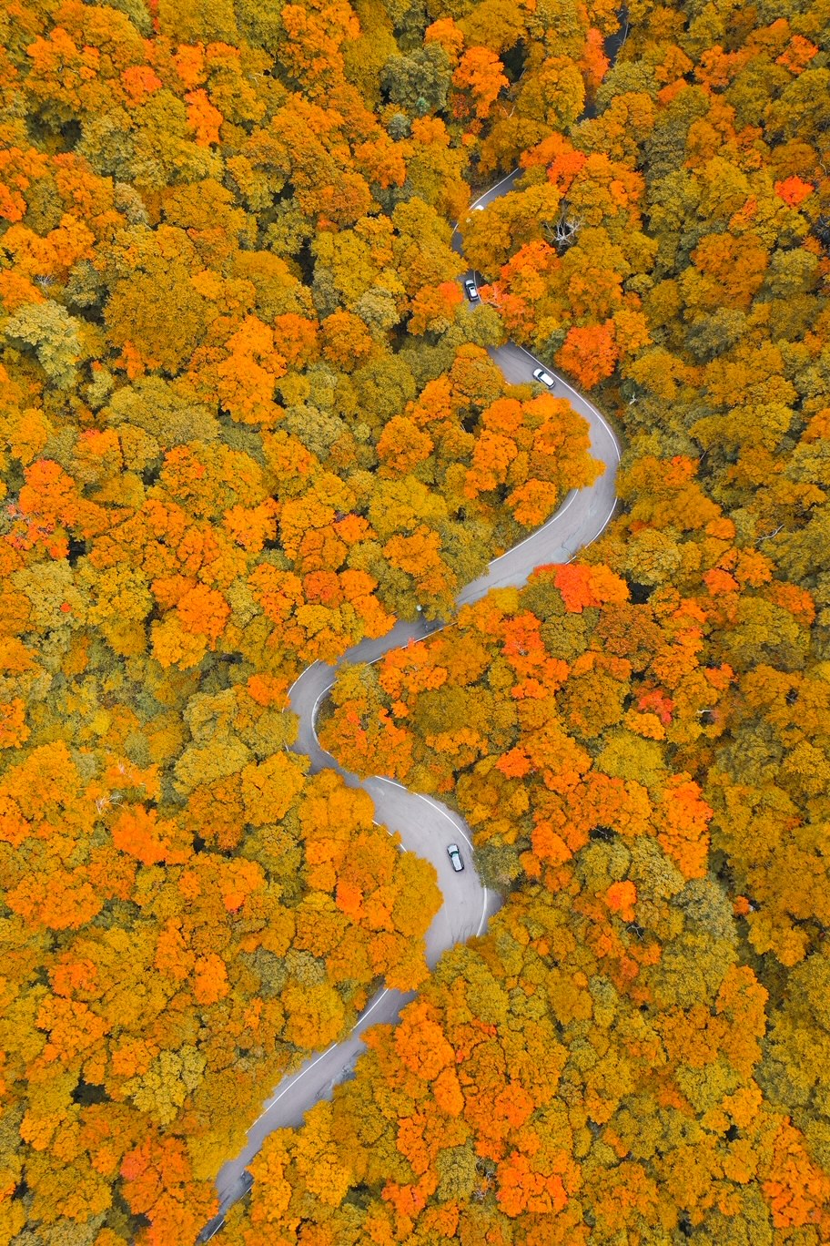 A drone shot shows a winding Road with a few cars, and around this road are tons of orange trees-- bright orange! This is Smuggler's Notch and is definitely a place to visit during your New England Fall Foliage Road Trip Itinerary. 