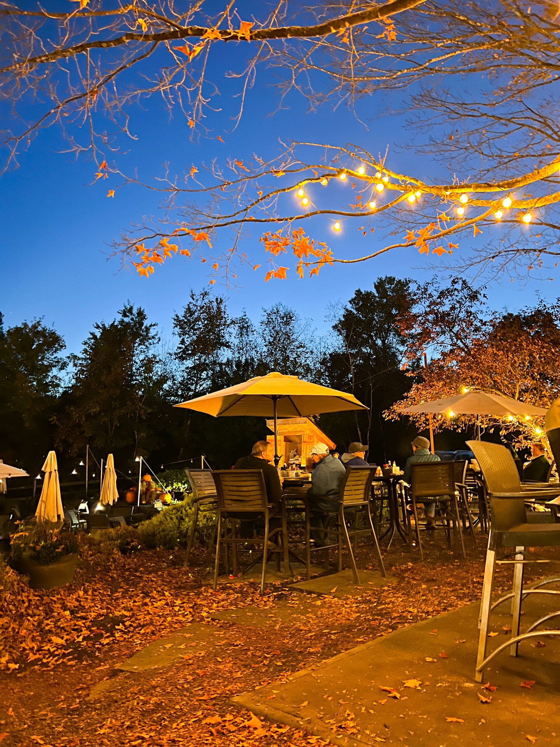 The outside setting of Idleytyme Brewing Co. shows hightop tables and chairs with people eating under string lights, creating a nice calm view for your New England Fall Foliage Road Trip Itinerary. 