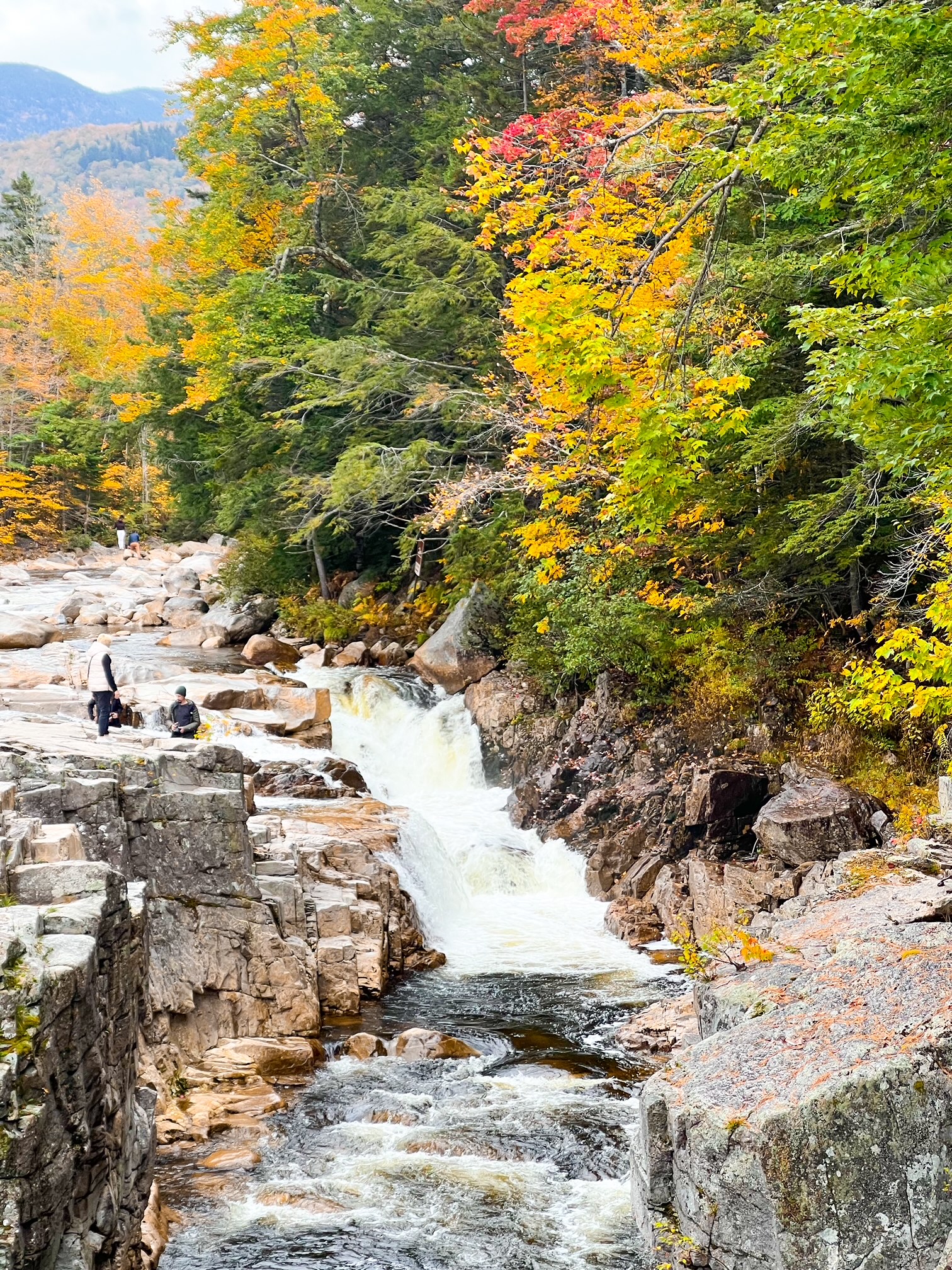 A river and waterfall that has lots of ricks and green and yellow foliage is a part of the Rocky Gorge Scenic area and is a must see for your New England Fall Foliage Road Trip Itinerary. 