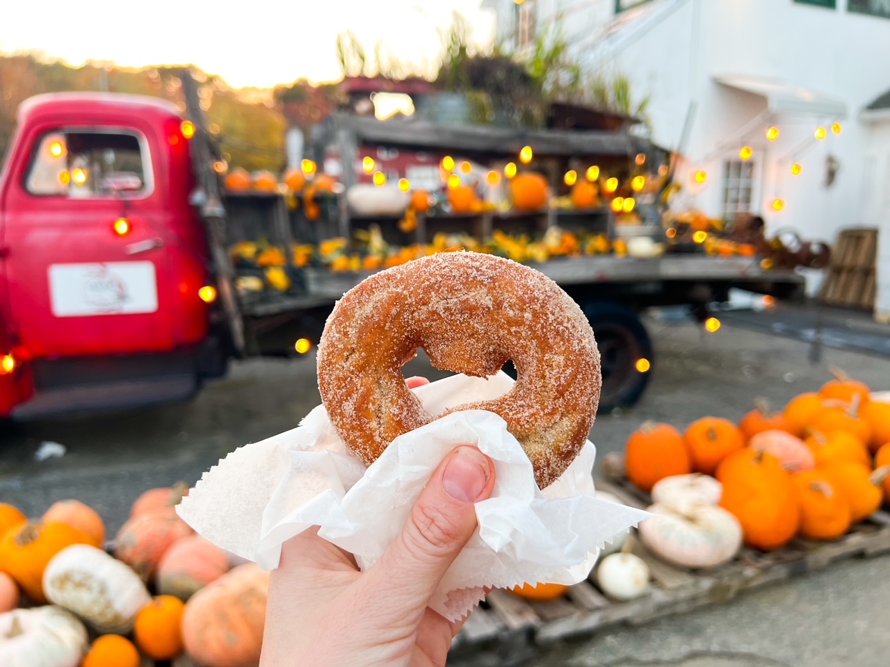 A hand holds up a cinnamon donut in the forefront, and a red truck and orange pumpkins sit in the background at Hogan's Cider Mill, a must add to your New England Fall Foliage Road Trip Itinerary. 