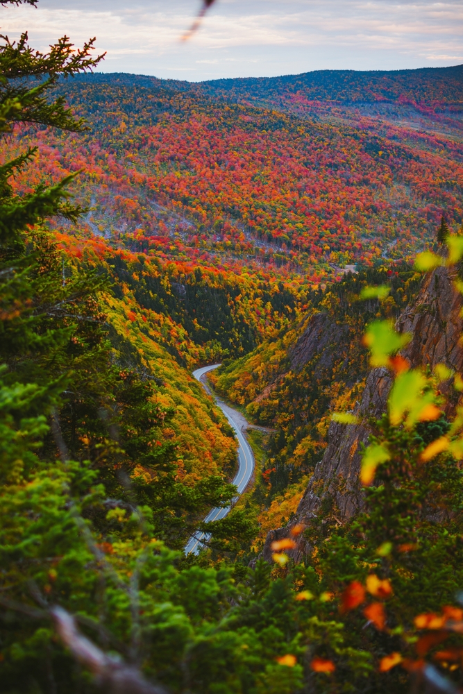 This photo looks down at the road that divides the trees and mountains at Table Rock during the fall: bright colors of red and white and green take over the leaves of these trees. 