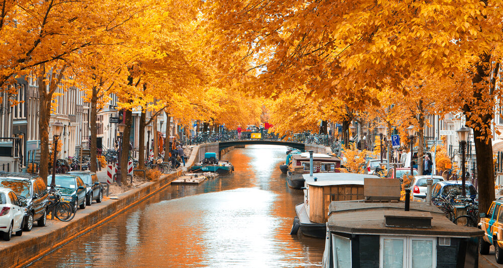 fall foliage and autumn leaves over Amsterdam