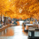 fall foliage and autumn leaves over Amsterdam