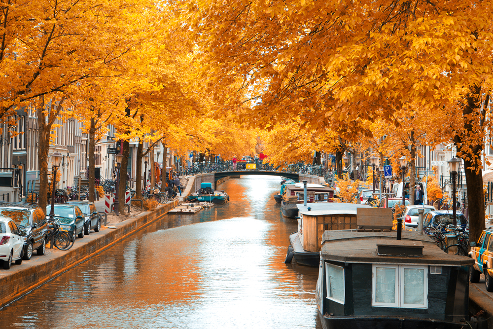 Amsterdam autumn. beautiful places in Europe. You can see the canal and boat and autumn trees. 