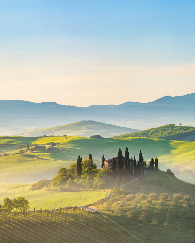 rolling hills in tuscany at dawn, a house is in the middle surrounded by trees 