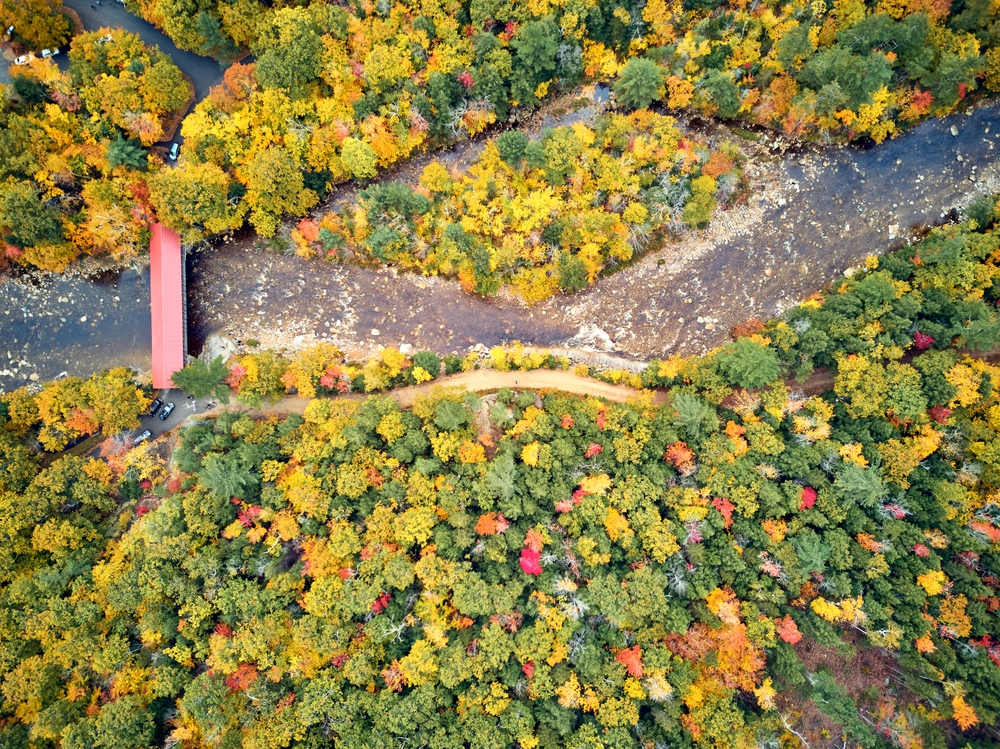 Another overhead shot shows more green trees and foliage as the leaves are just starting to turn: there is also a covered bridge that connects the land over a large river. 