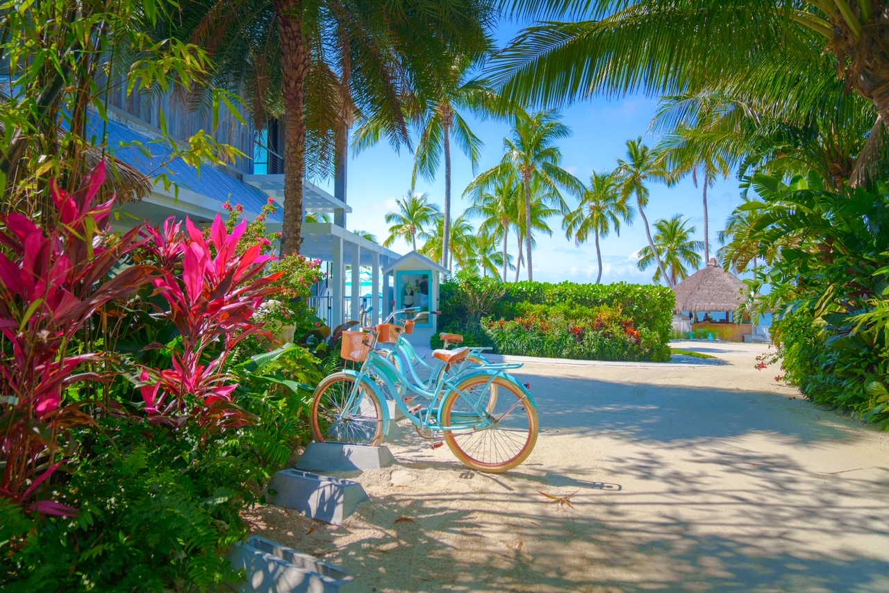 a view of the bikes, sea and lush foliage around the resort