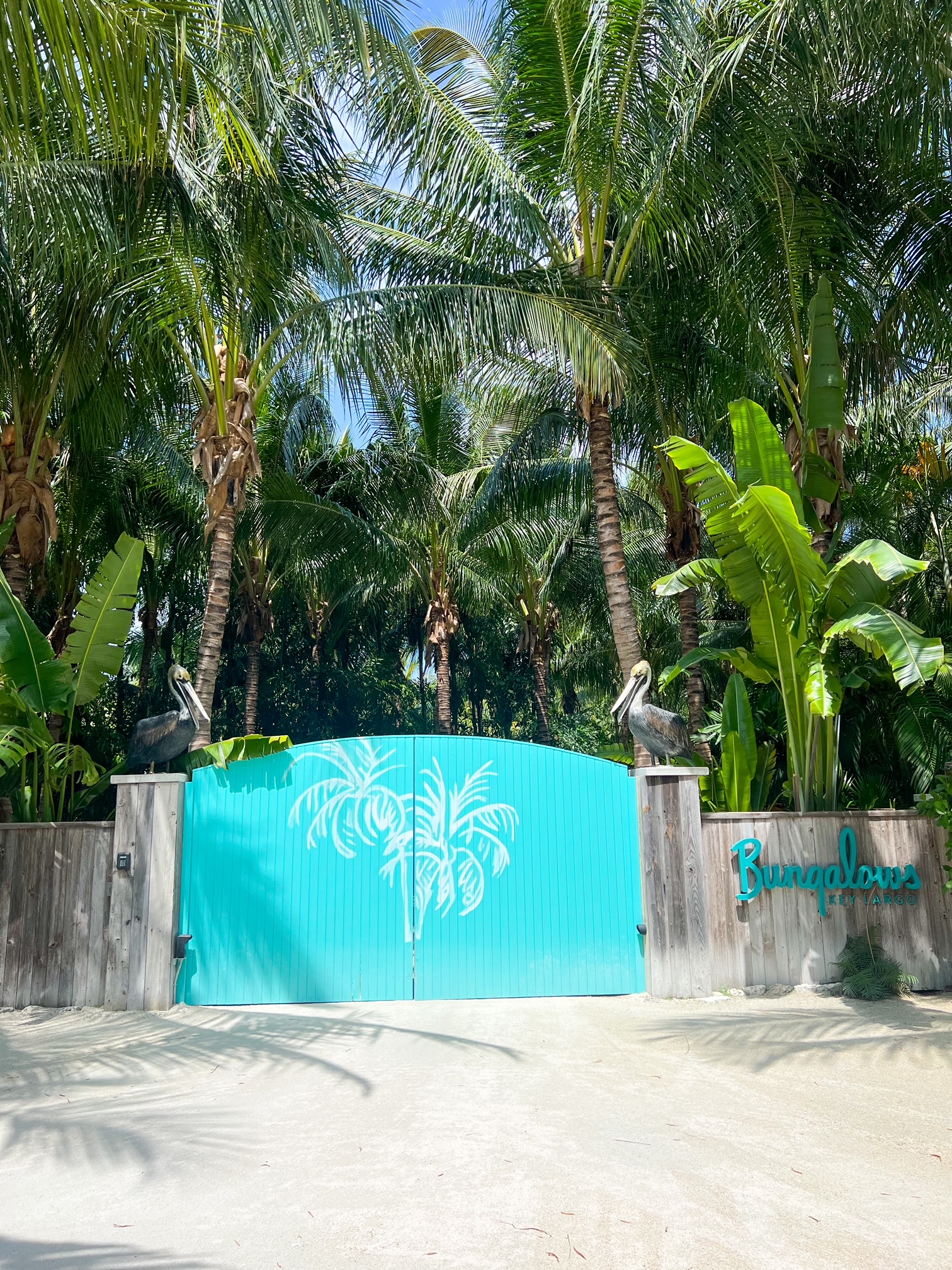 The teal front entrance gate at the Bungalows all inclusive resort