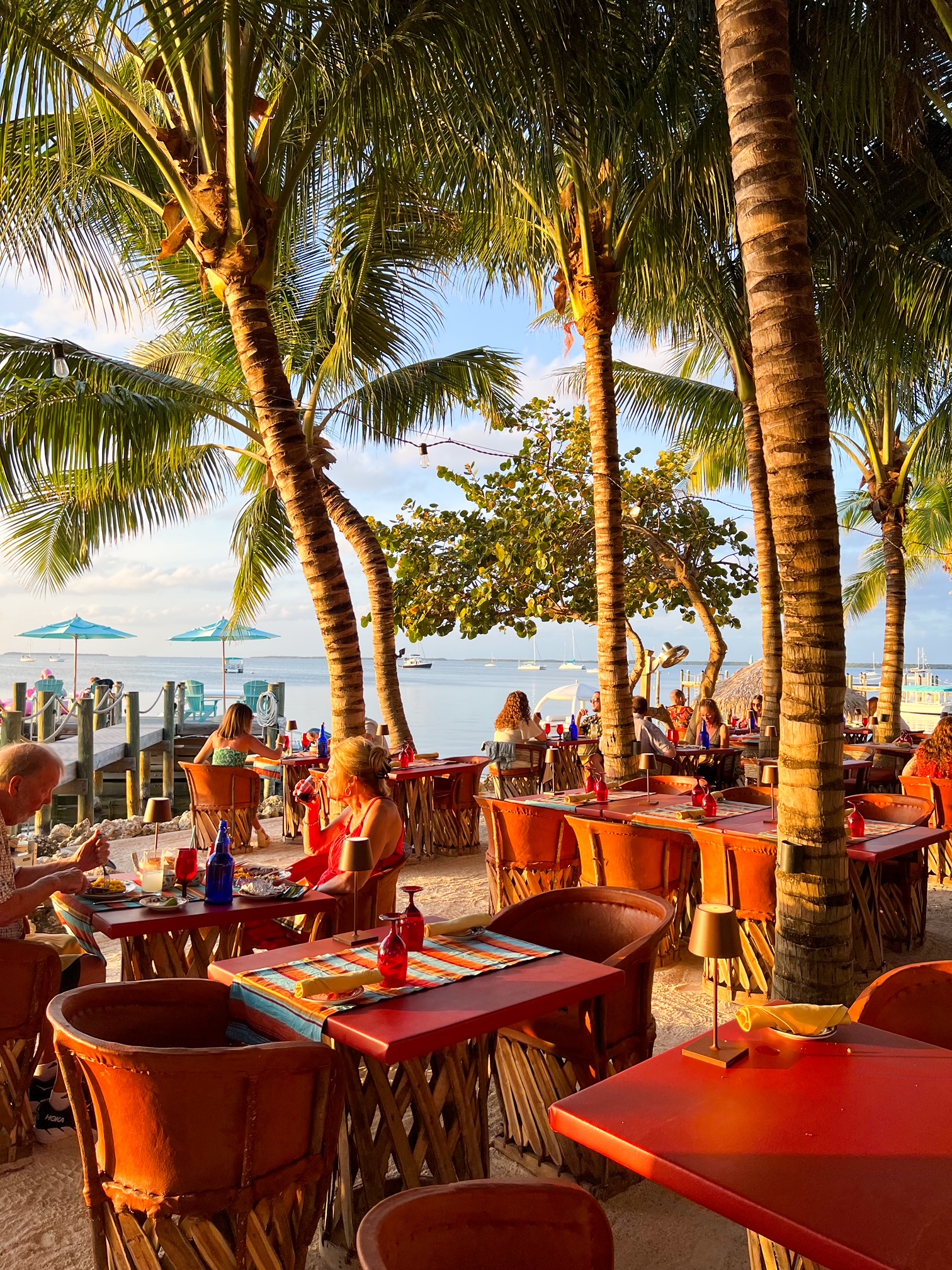 oceanfront dining under the palm trees at sea señor