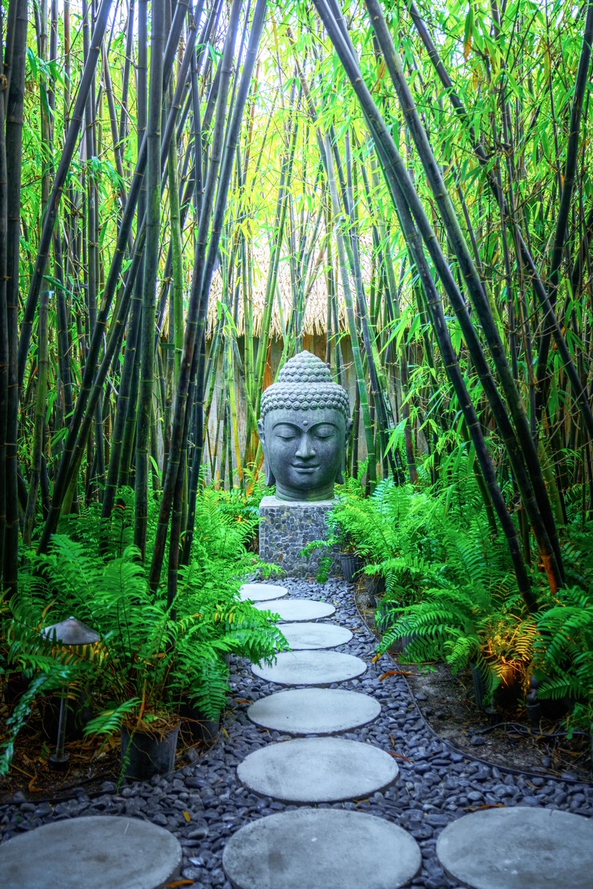 The stone path surrounded by bamboo leading up to the Buddha head is the entrance of the spa