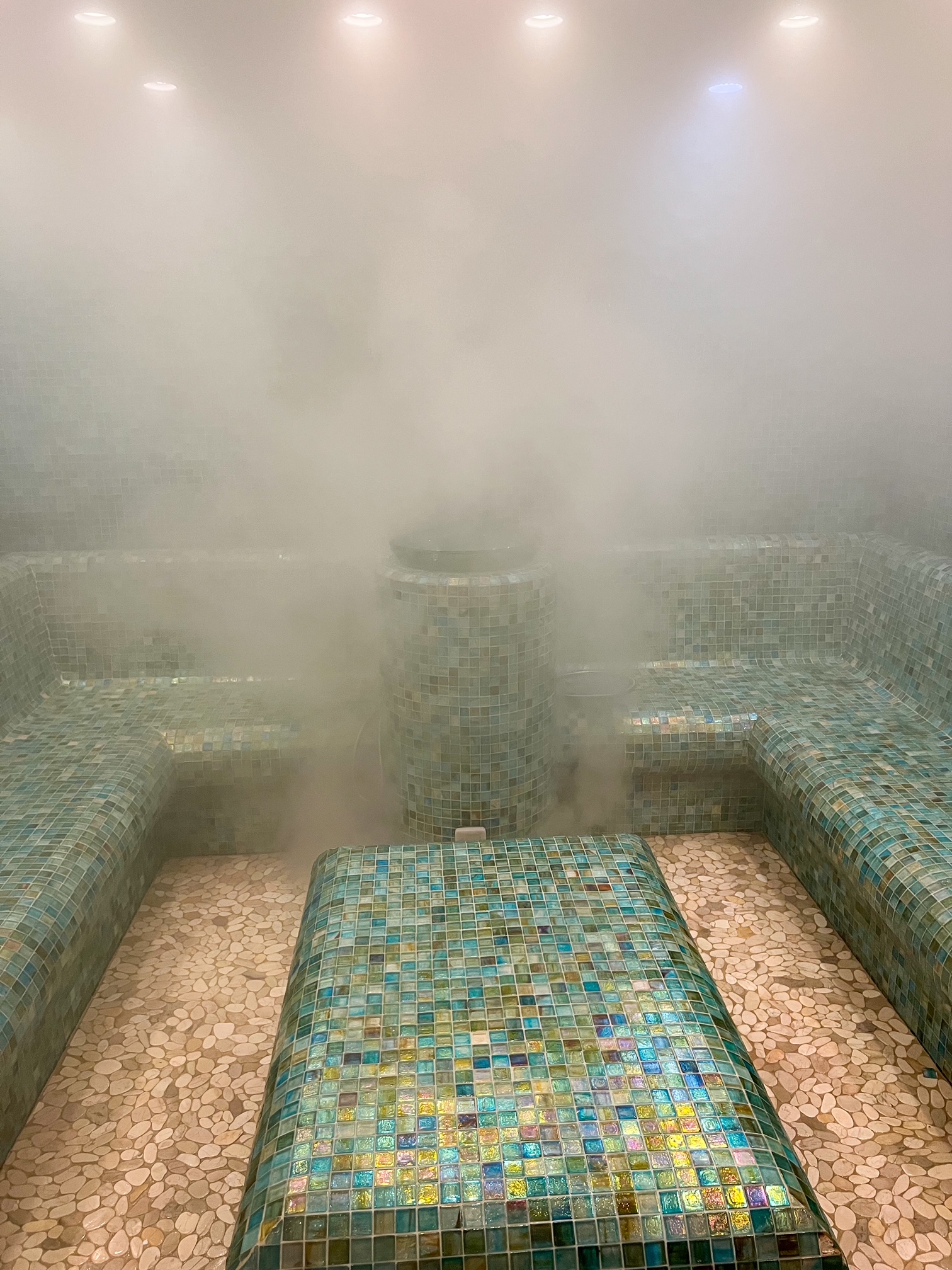 the steam room in the spa