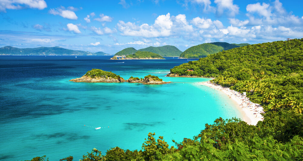 beautiful island with blue water and beach with palm trees