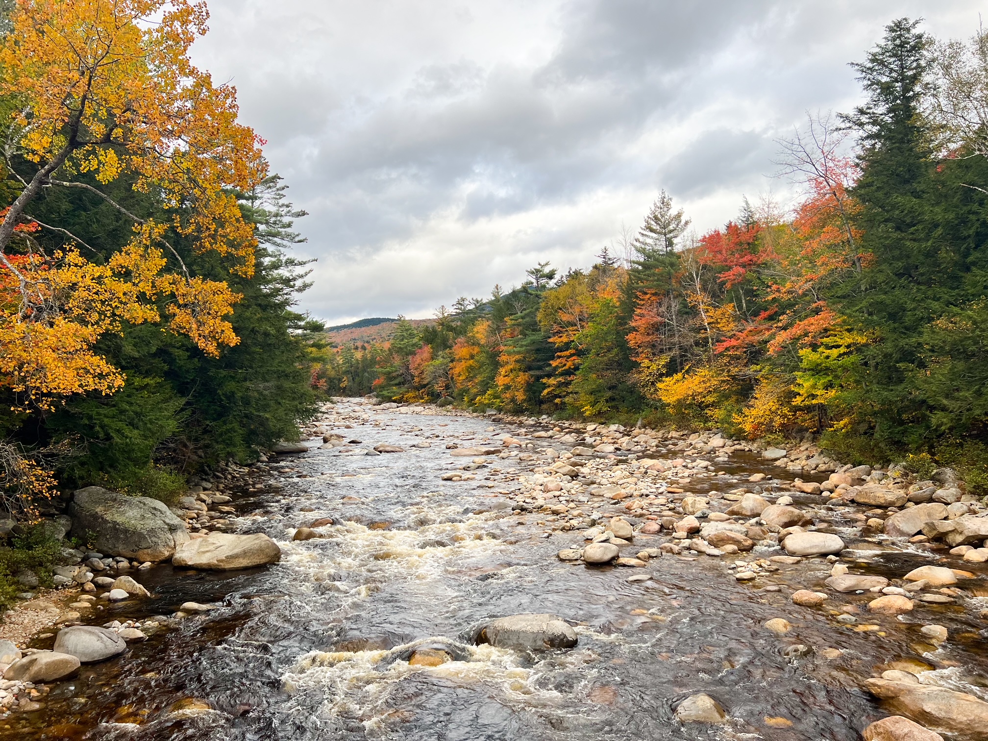 A landscape shot of a river shows the water rushing over tan rocks, and the tall trees of New Hampshire slowing turning the trees into their fall foliage. 