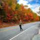 woman standing on a fall foliage lined road