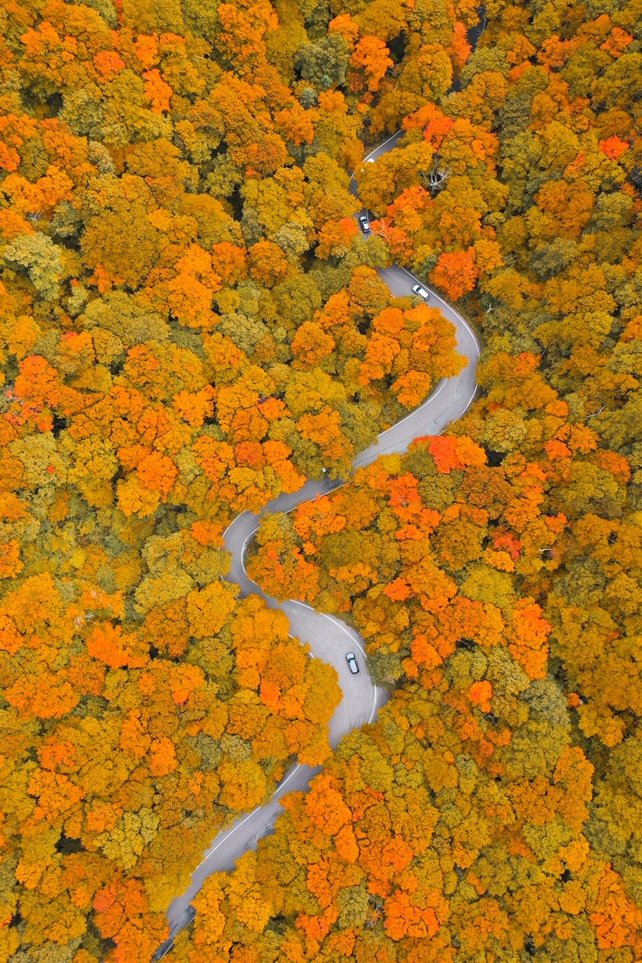 This overhead shot reveals a long, twisty road that cars drive to navigate Smuggglers Notch: the trees are SO orange here. 