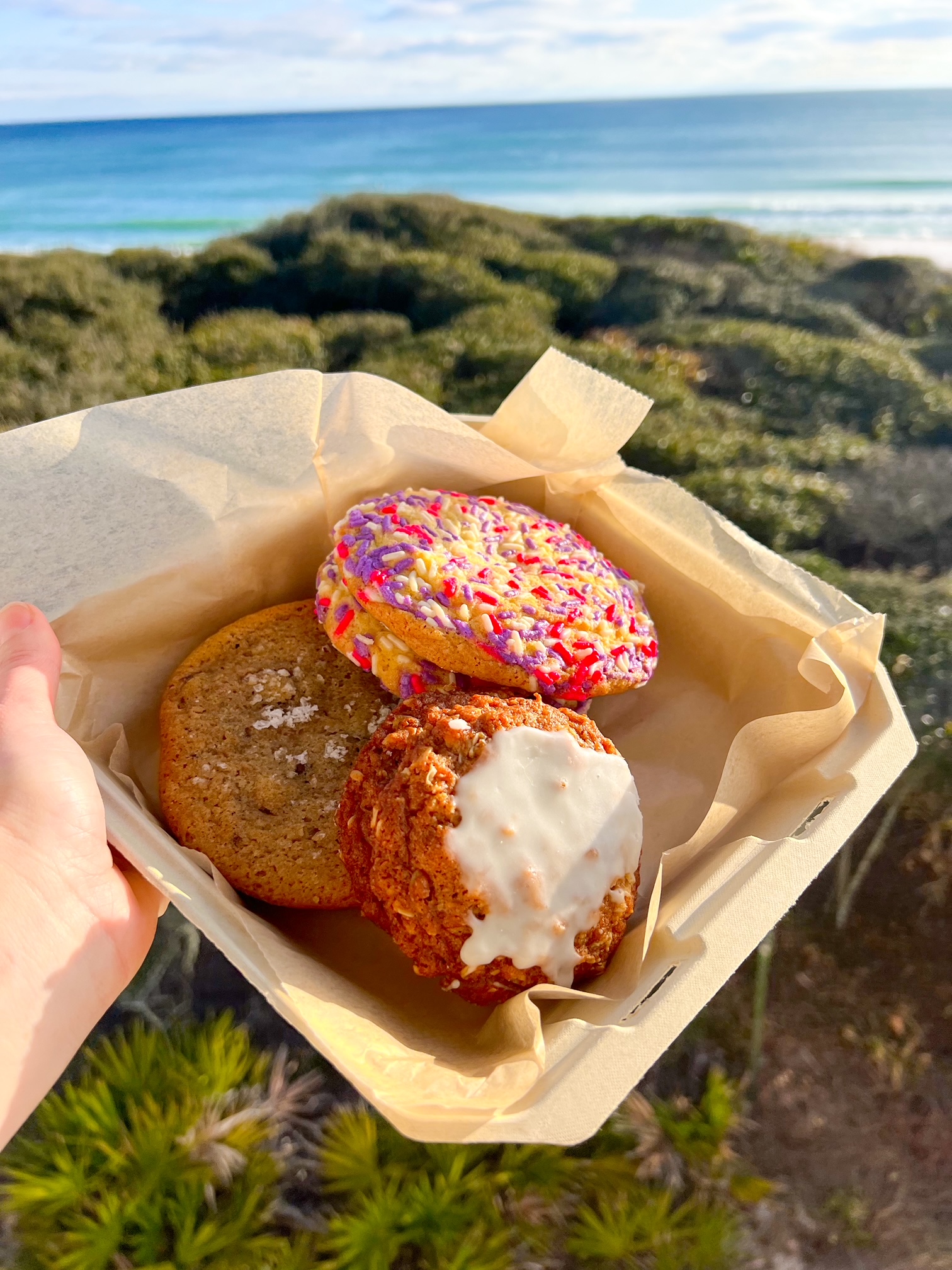 a plate of donuts with the ocean in the background