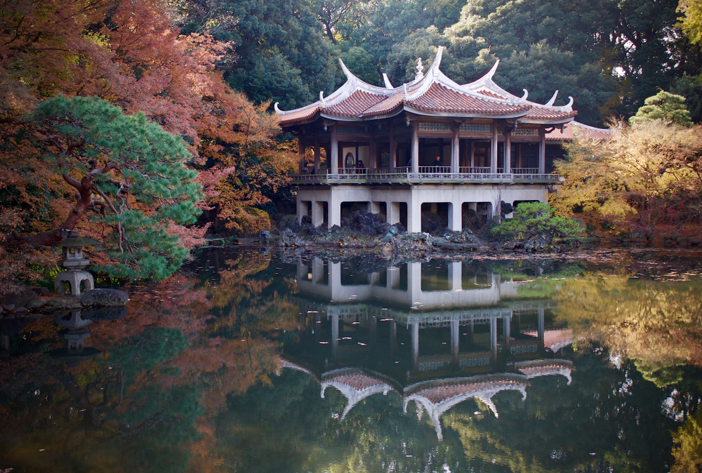 A gazebo overlooking a small pond surrounded by trees during autumn at the Shinjuku Gyoen National Garden, one of the best 30th birthday destinations!