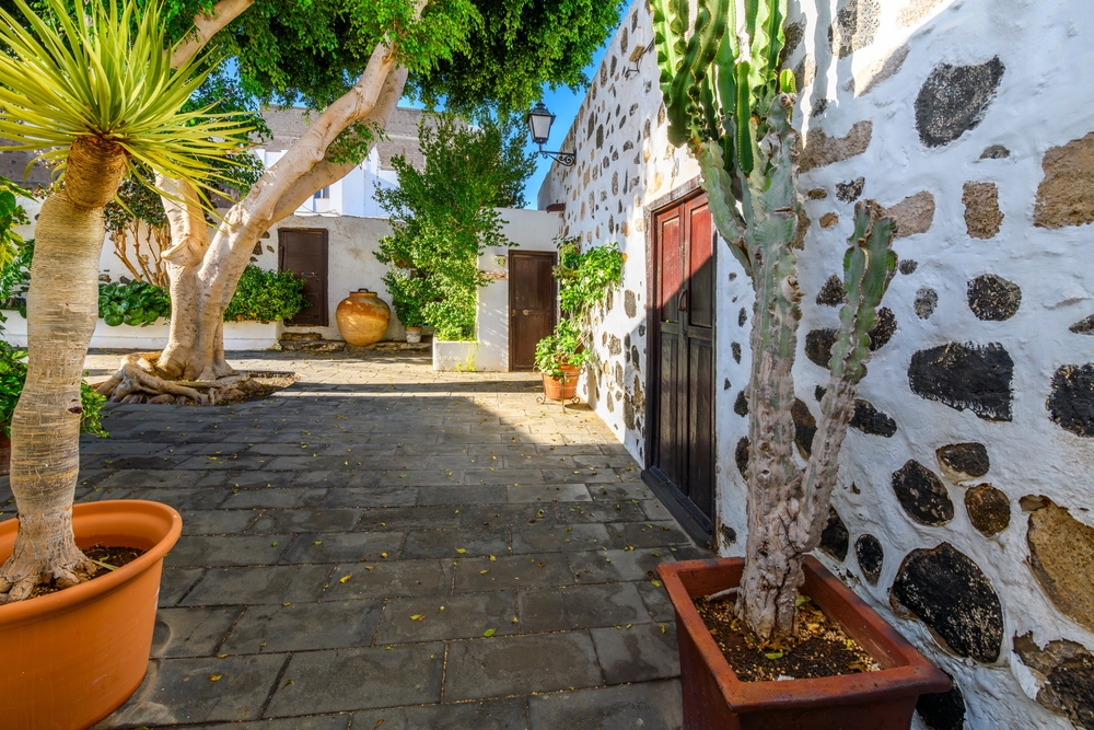 white walled buildings with palm trees and other types of trees out front with a stone walk way also out front 