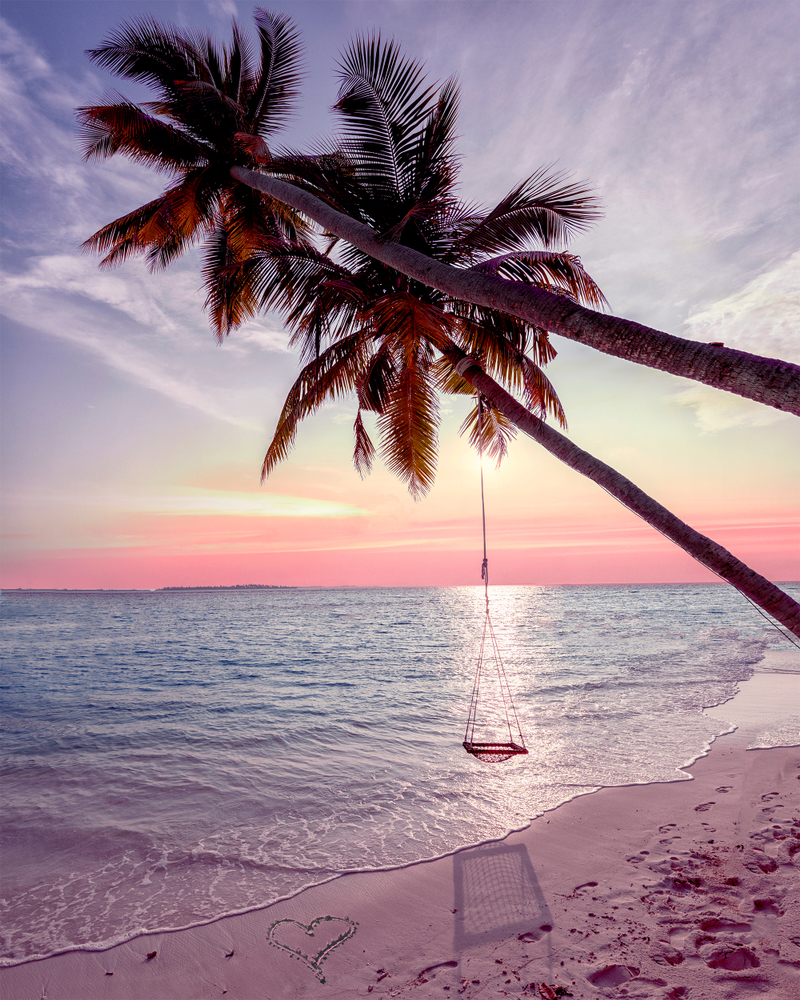 Maldives Islands Ocean swing over the ocean on a palm tree at sunset. 