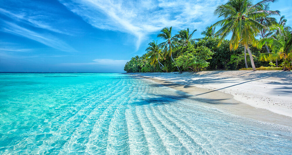 beautiful blue water in the maldives with beach and palm trees