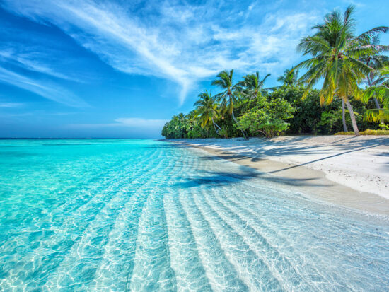 beautiful blue water in the maldives with beach and palm trees