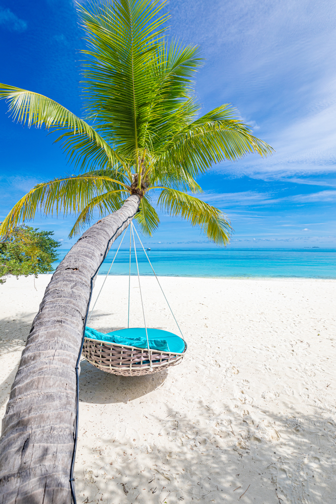 Luxury beach with beach swing or hammock and white sand and calm sea. Article is about the best time to visit the Maldives. 