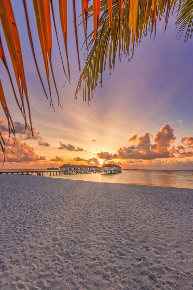 Tranquil beach sunset in Maldives. Paradise beach island with tropical palm leaves sea sky horizon over sand.